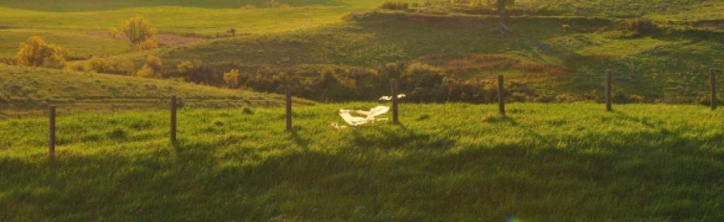 Saving Jezebel (Part I, as it turns&nbsp;out.)